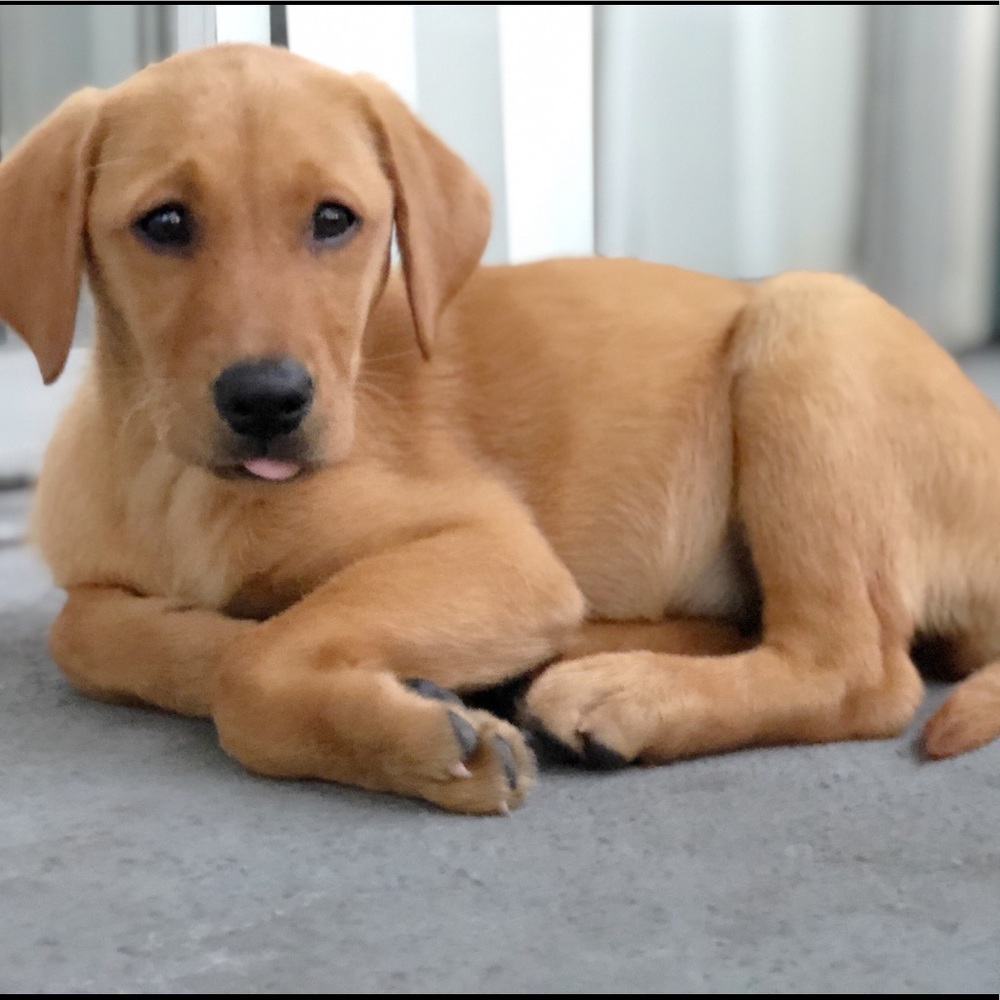 Meet your Posher, Cindy